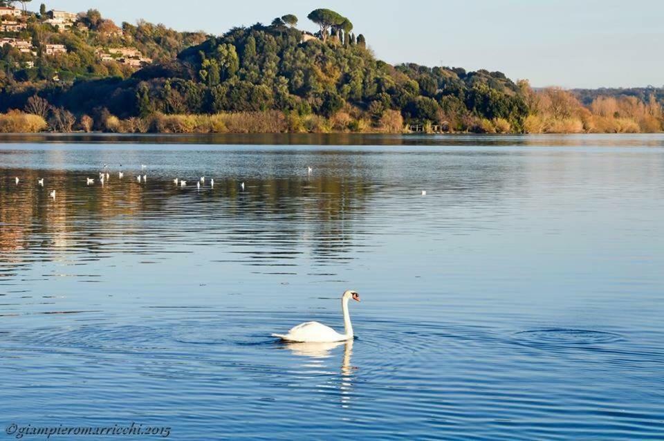 Pepe Apartment -Lago Di Bracciano Trevignano Romano Bagian luar foto
